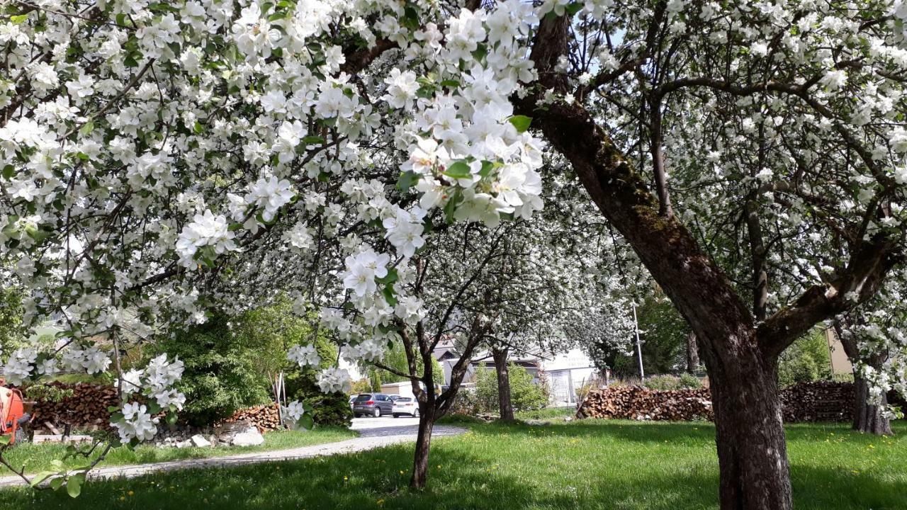 Ferienwohnungen Veit Aigen im Mühlkreis Eksteriør bilde
